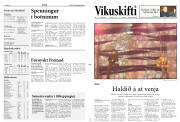 Síða 11