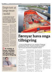 Síða 8