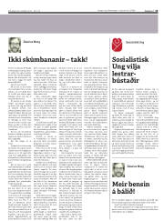 Síða 13