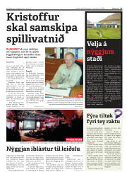 Síða 17