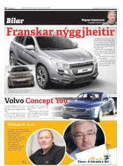 Síða 26