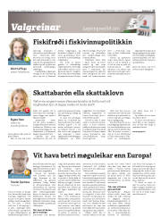 Síða 27