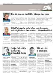 Síða 29
