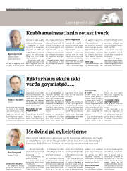 Síða 35