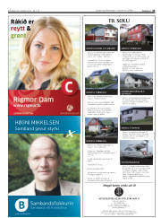 Síða 43
