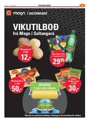Síða 55