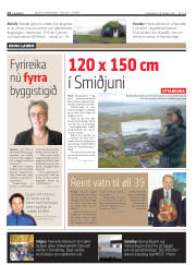 Síða 14