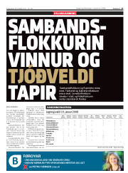 Síða 17
