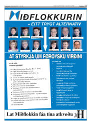 Síða 29