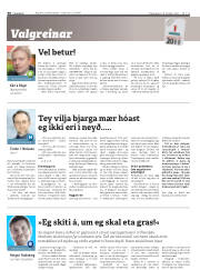 Síða 30