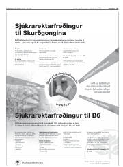 Síða 45