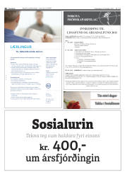 Síða 46
