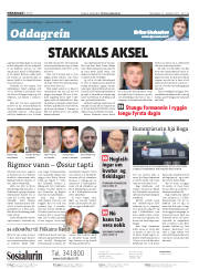 Síða 2
