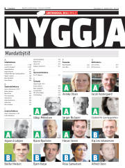 Síða 8