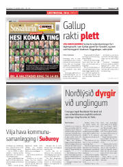 Síða 11