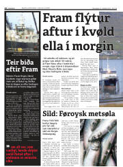 Síða 14