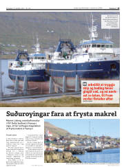 Síða 15