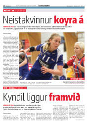 Síða 20