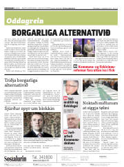Síða 2