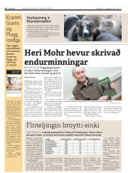 Síða 12