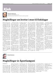 Síða 17