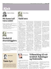 Síða 19