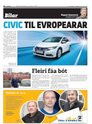 Síða 20