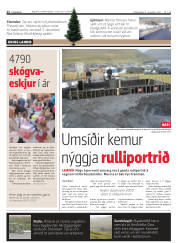 Síða 12