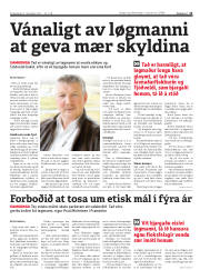 Síða 13