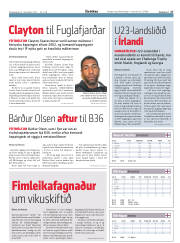 Síða 17