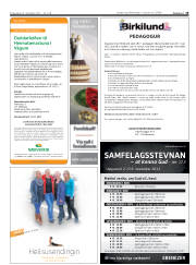 Síða 19