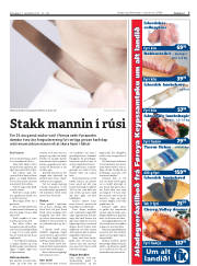 Síða 7