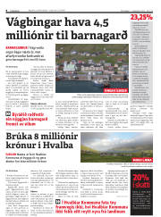 Síða 8