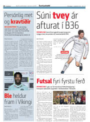 Síða 20