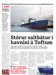 Síða 26