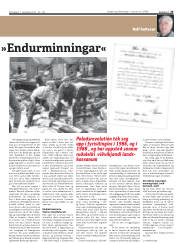 Síða 29