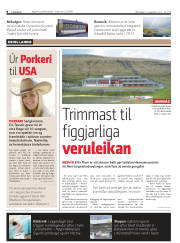 Síða 8
