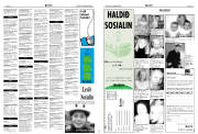 Síða 19