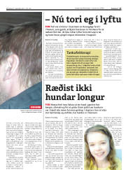 Síða 17
