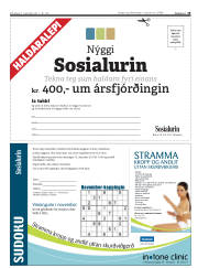 Síða 19