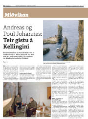 Síða 22