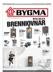 Síða 3