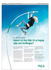 Síða 8