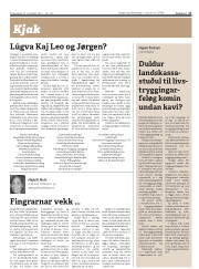Síða 17