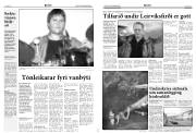 Síða 5