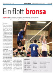 Síða 17