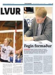 Síða 19