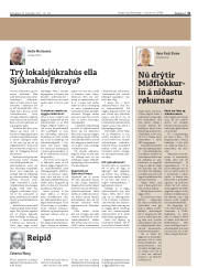 Síða 31
