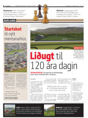 Síða 8