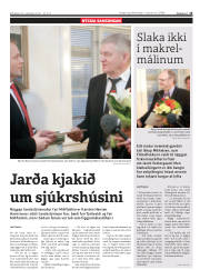 Síða 15